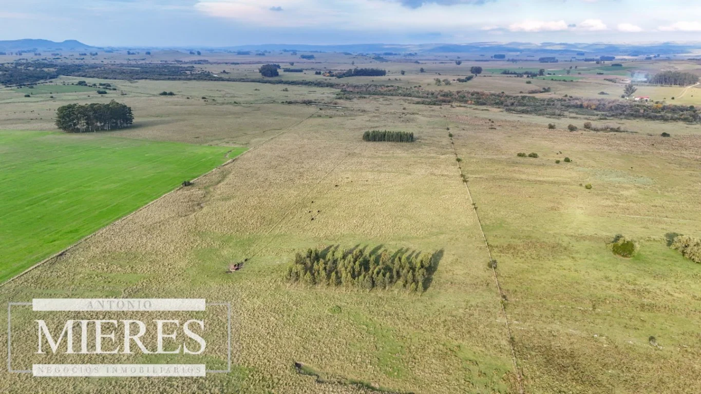 Campo en Maldonado, propiedad 290222 -Imagen 4
