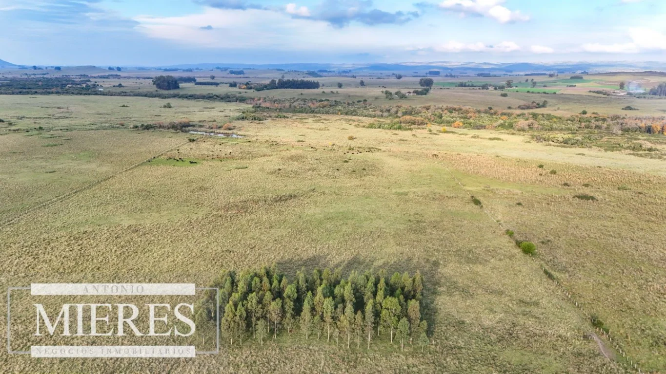 Campo en Maldonado, propiedad 290222 -Imagen 5