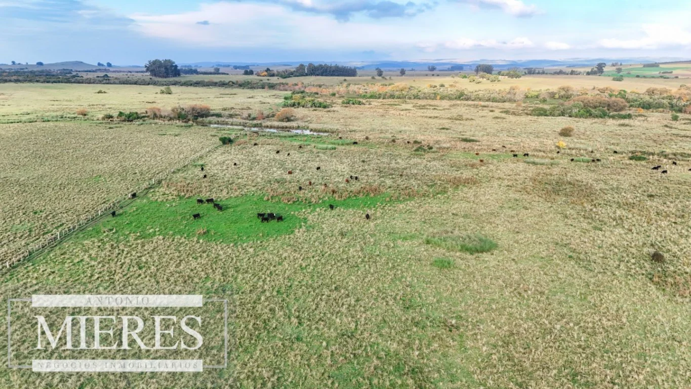 Campo en Maldonado, propiedad 290222 -Imagen 6