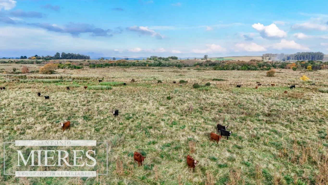 Campo en Maldonado, propiedad 290222 -Imagen 7