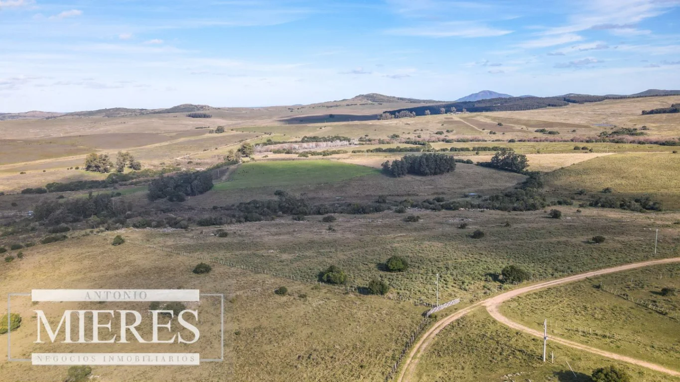 Campo en Pan de azucar, propiedad 290229 -Imagen 15