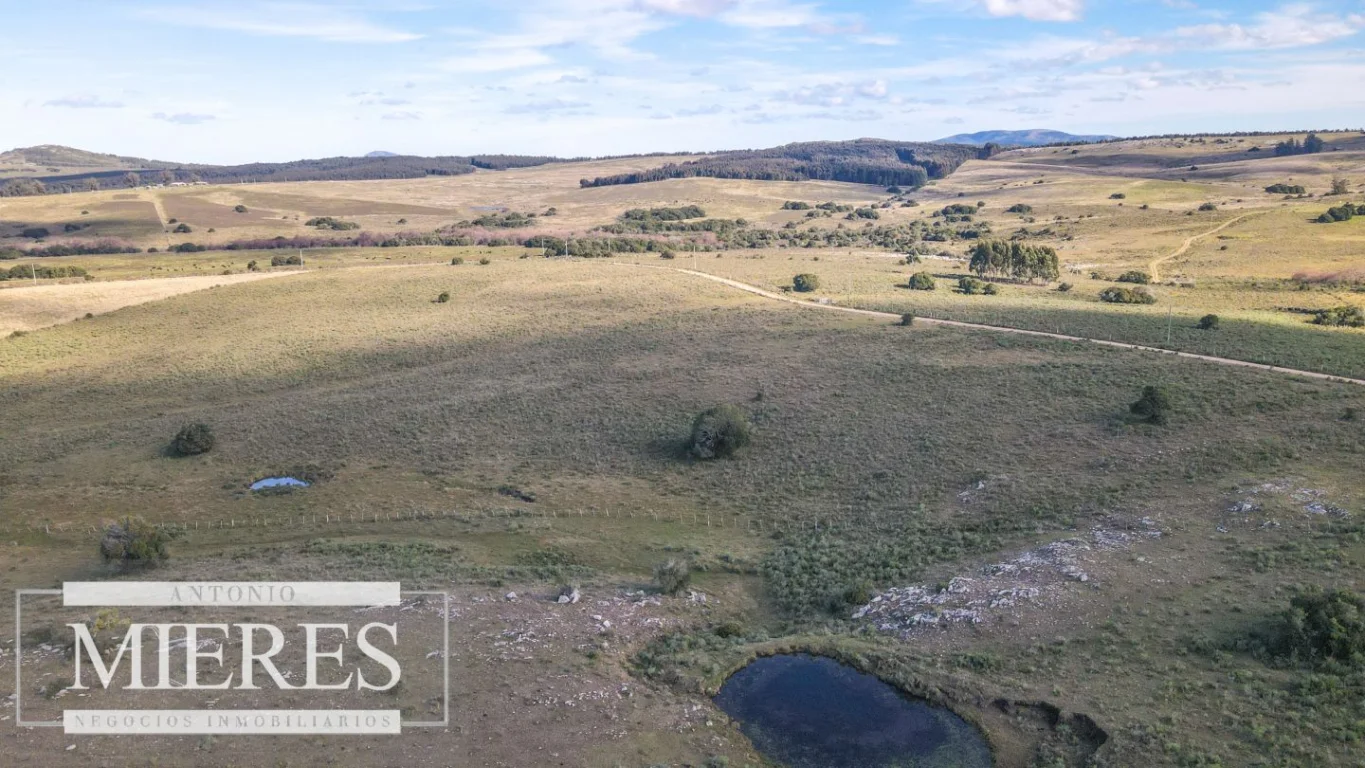 Campo en Pan de azucar, propiedad 290229 -Imagen 19