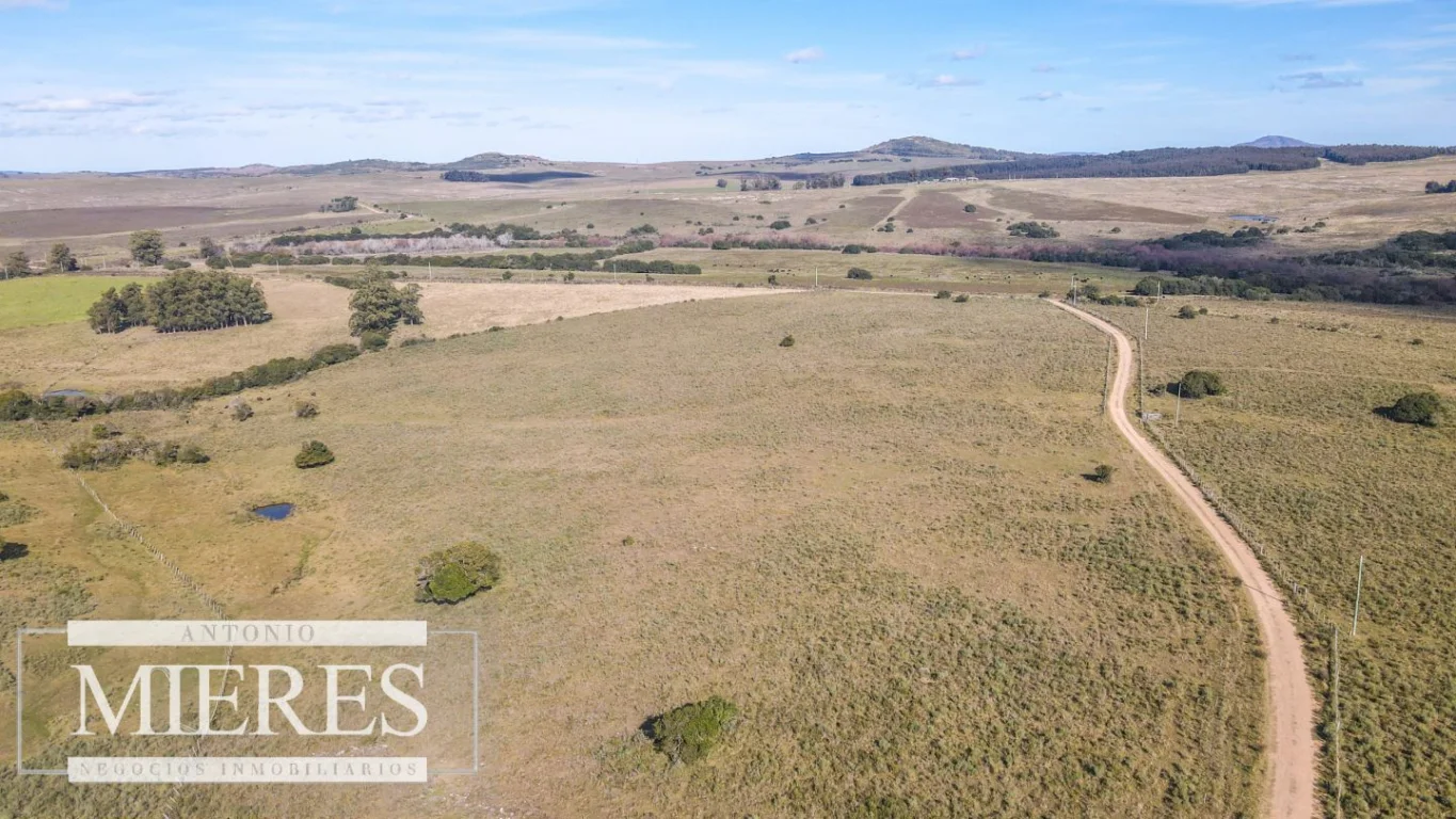Campo en Pan de azucar, propiedad 290229 -Imagen 3