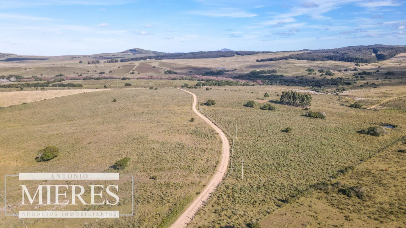 Campo en Pan de azucar, propiedad 290229 -Imagen 4
