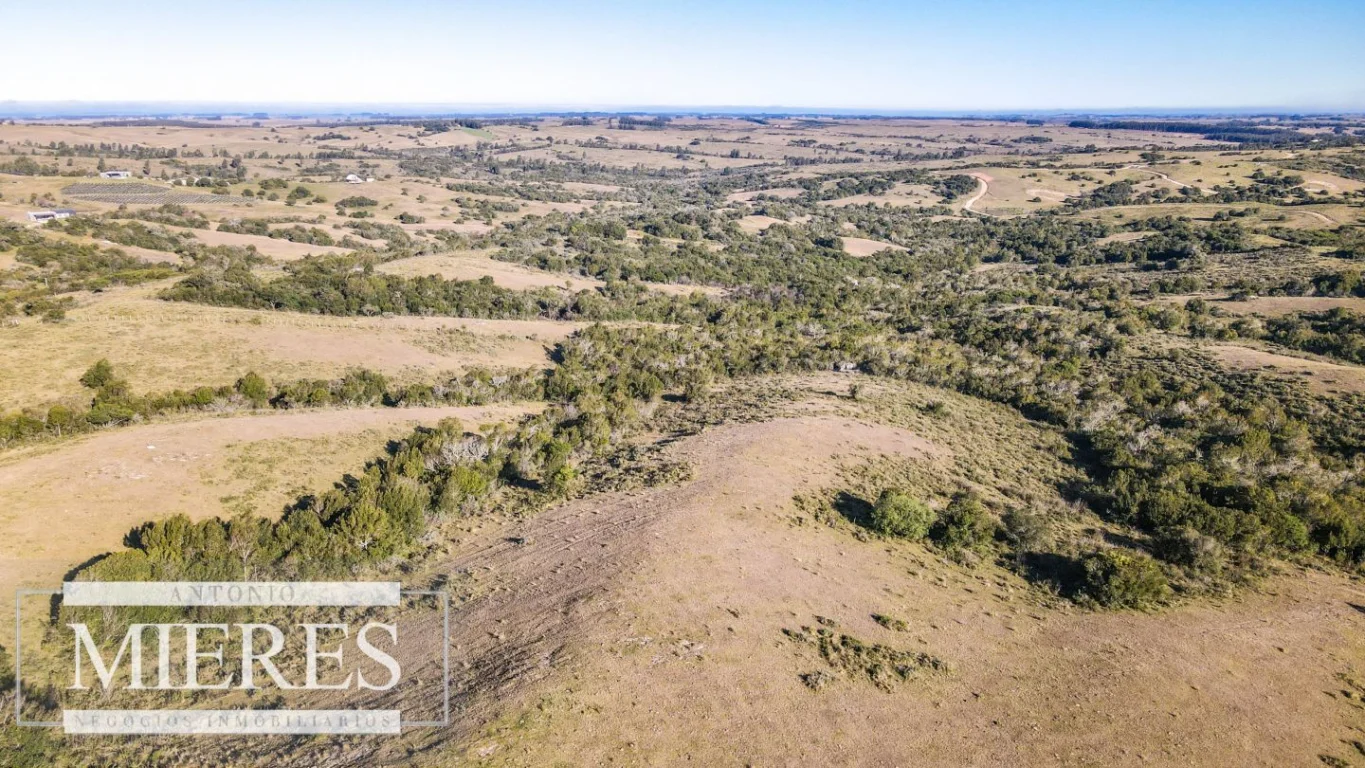 Campo en José Ignacio, propiedad 290232 -Imagen 16