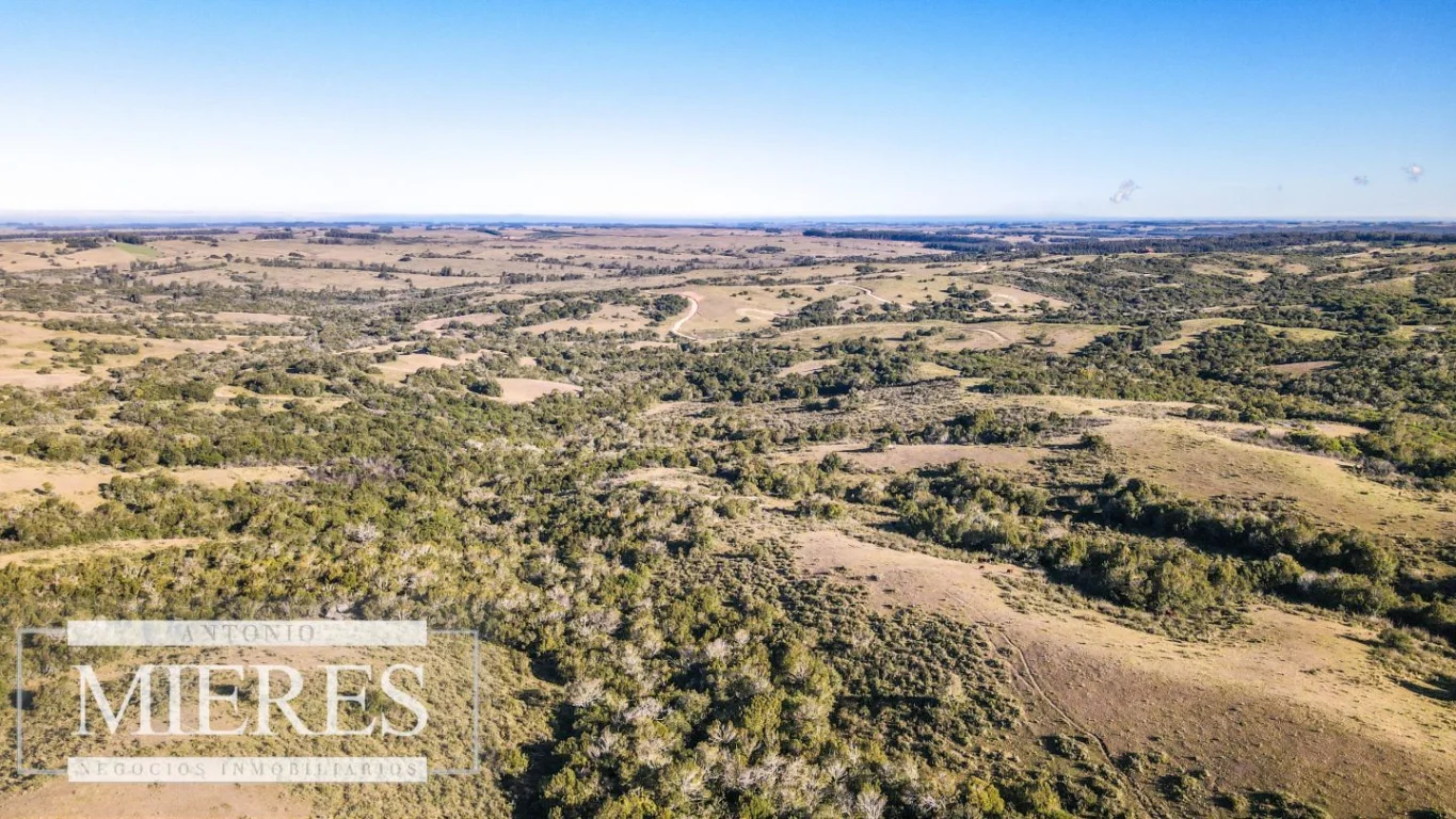 Campo en José Ignacio, propiedad 290232 -Imagen 17