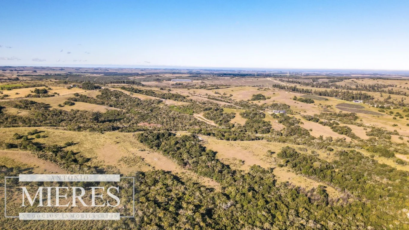 Campo en José Ignacio, propiedad 290232 -Imagen 20