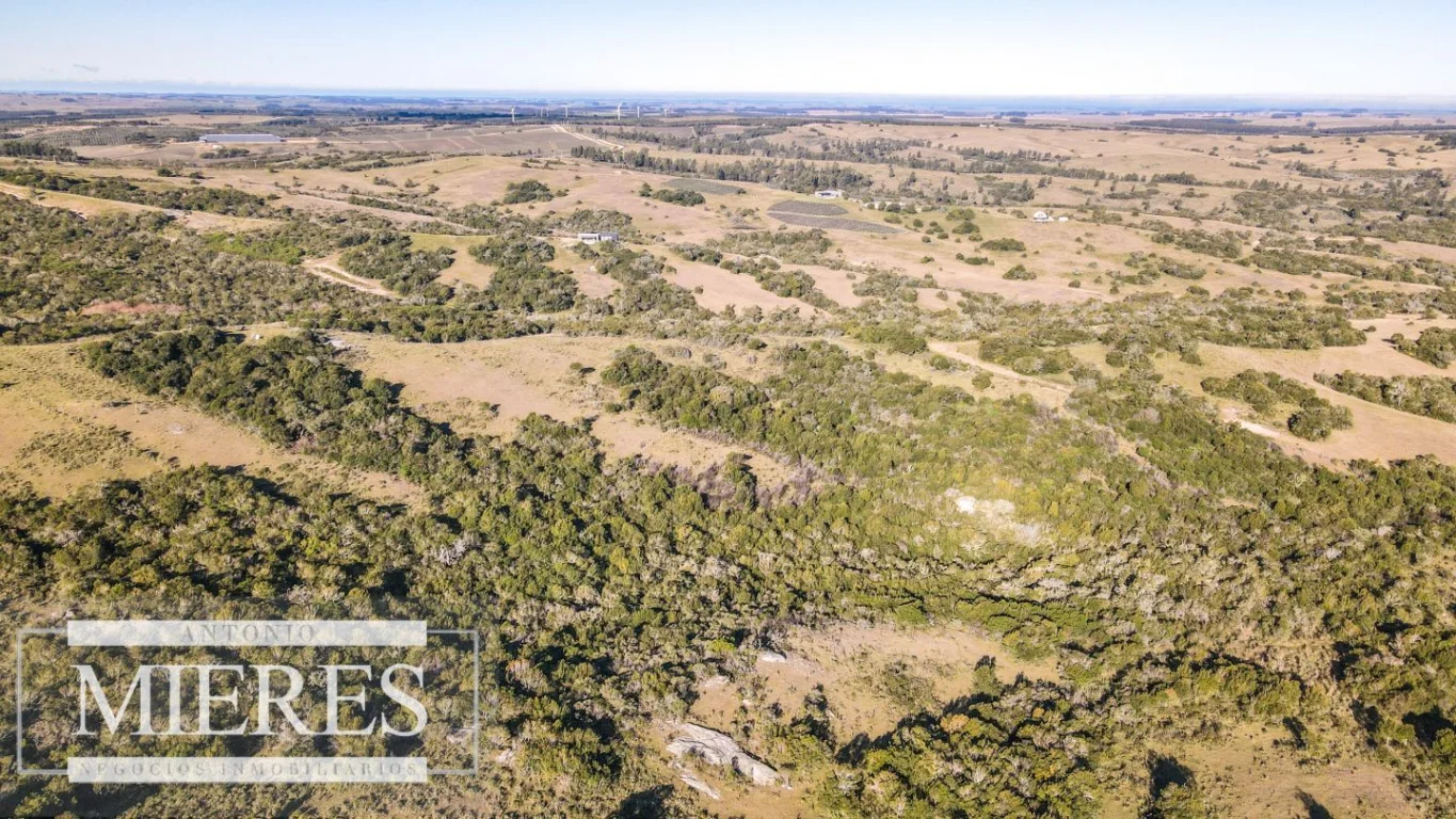 Campo en José Ignacio, propiedad 290232 -Imagen 21