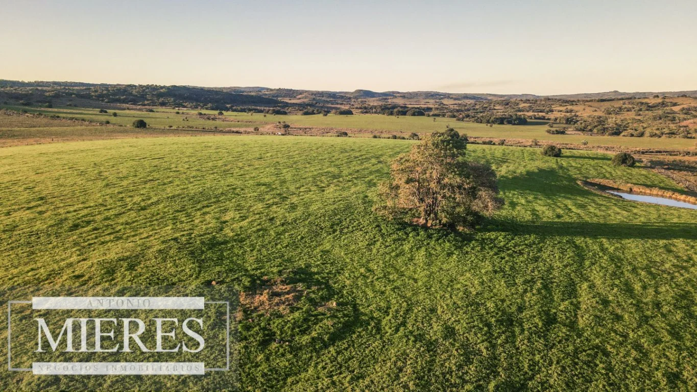 Campo en José Ignacio, propiedad 290234 -Imagen 9