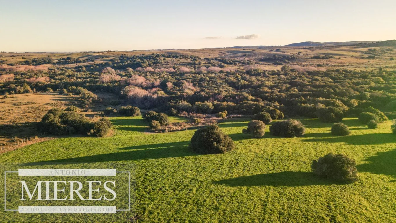 Campo en José Ignacio, propiedad 290234 -Imagen 11