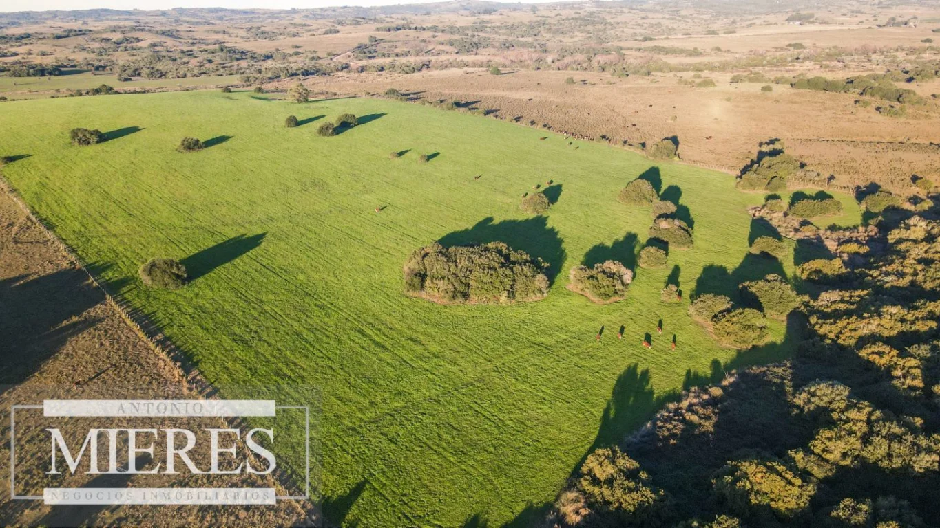 Campo en José Ignacio, propiedad 290234 -Imagen 12