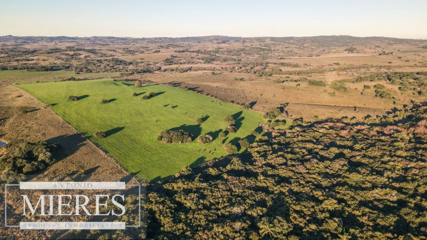 Campo en José Ignacio, propiedad 290234 -Imagen 13