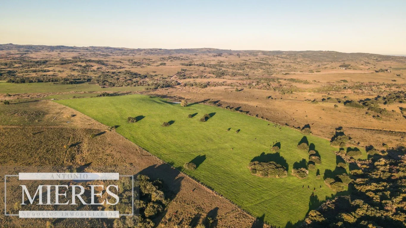 Campo en José Ignacio, propiedad 290234 -Imagen 14