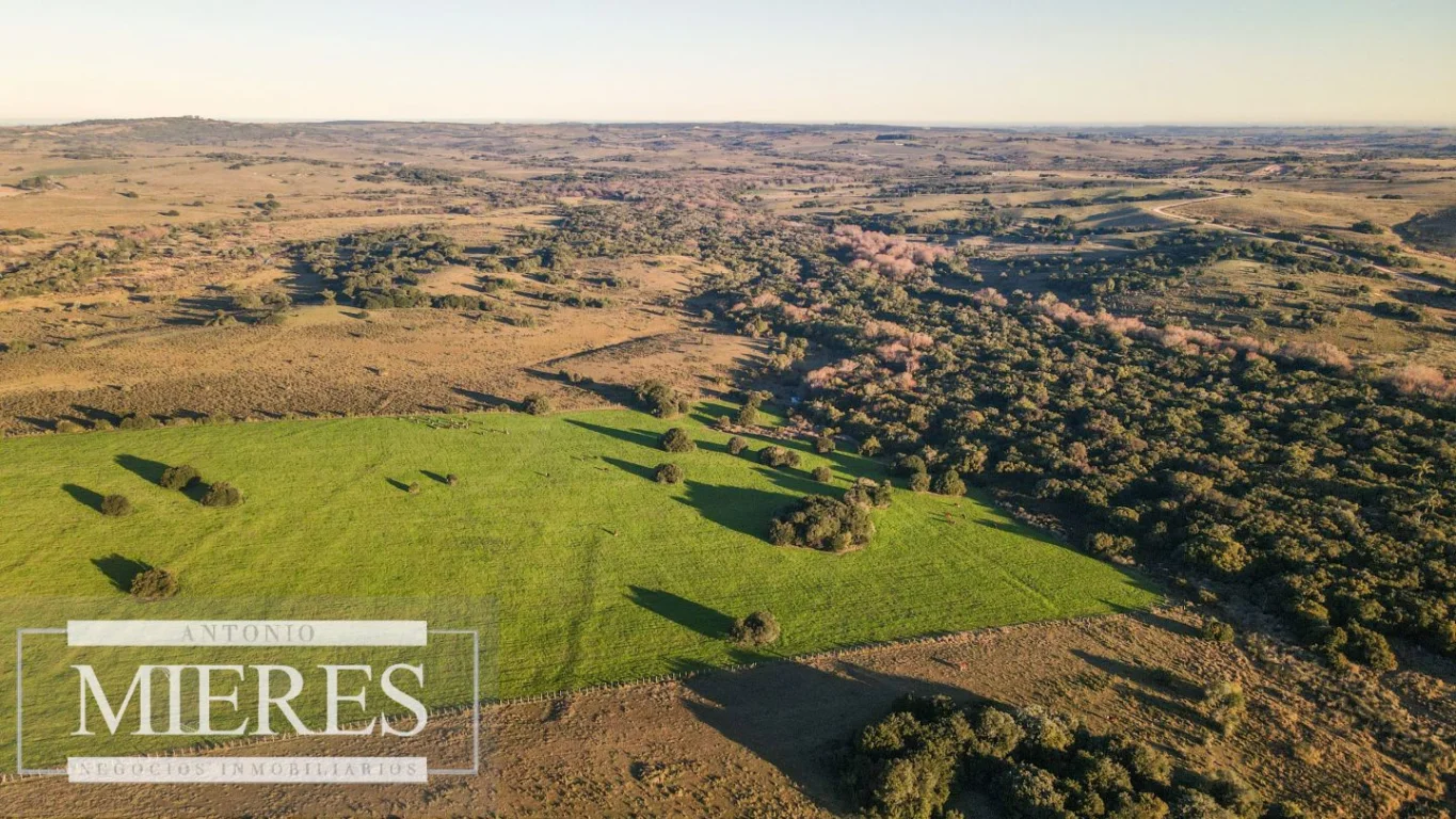 Campo en José Ignacio, propiedad 290234 -Imagen 15