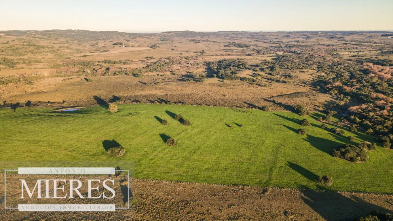 Campo en José Ignacio, propiedad 290234 -Imagen 16