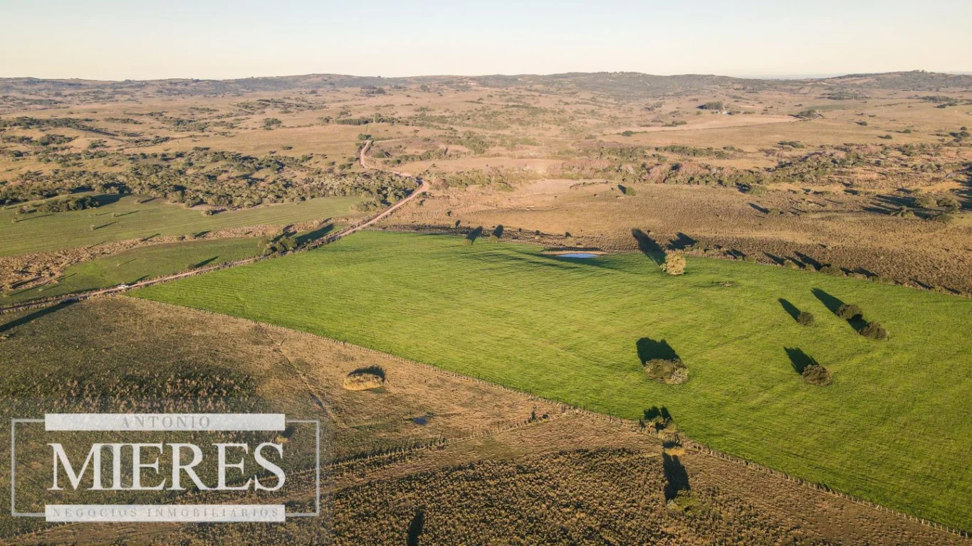 Campo en José Ignacio, propiedad 290234 -Imagen 17
