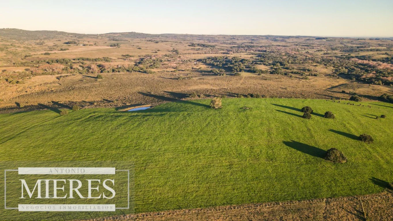 Campo en José Ignacio, propiedad 290234 -Imagen 19