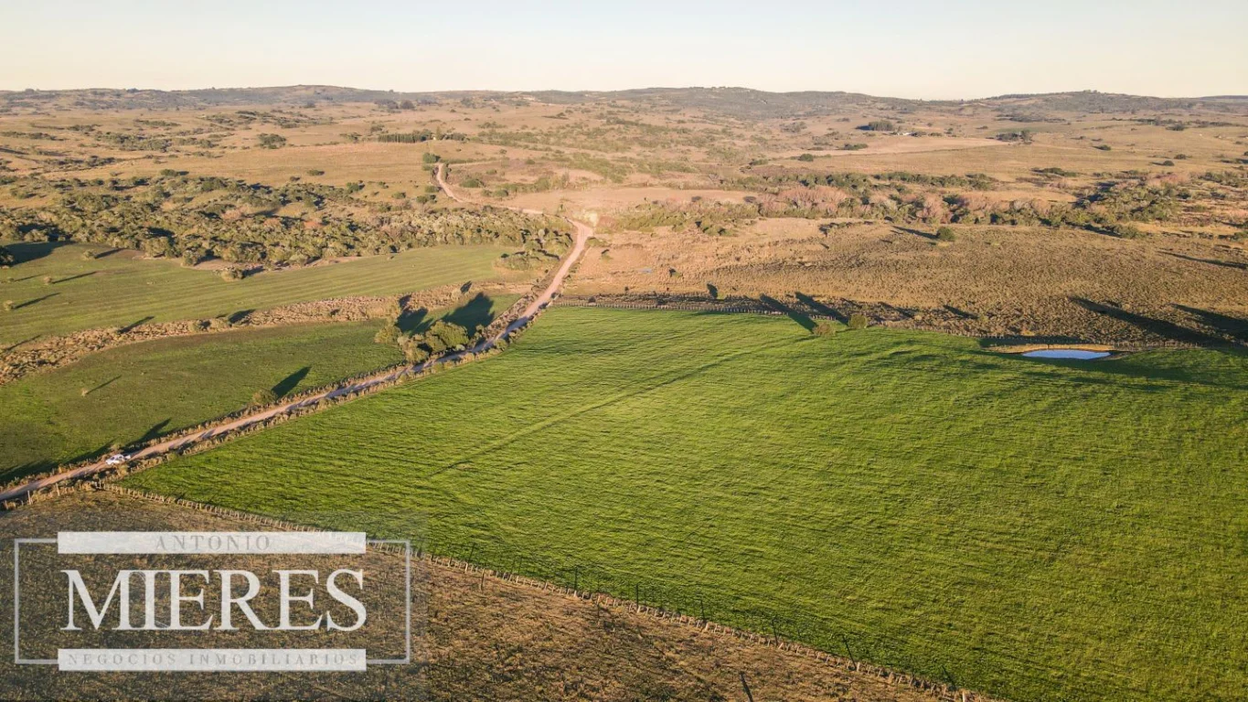 Campo en José Ignacio, propiedad 290234 -Imagen 20