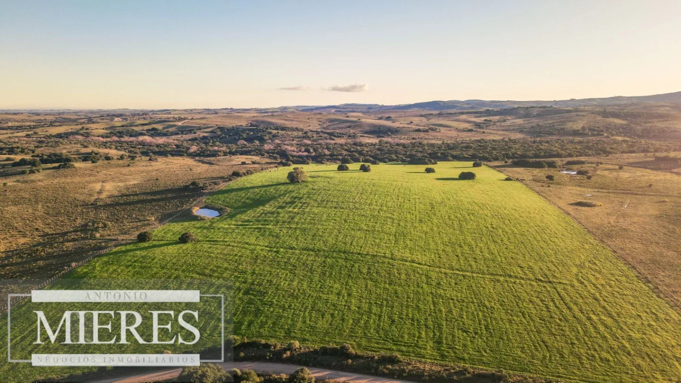 Campo en José Ignacio, propiedad 290234 -Imagen 2