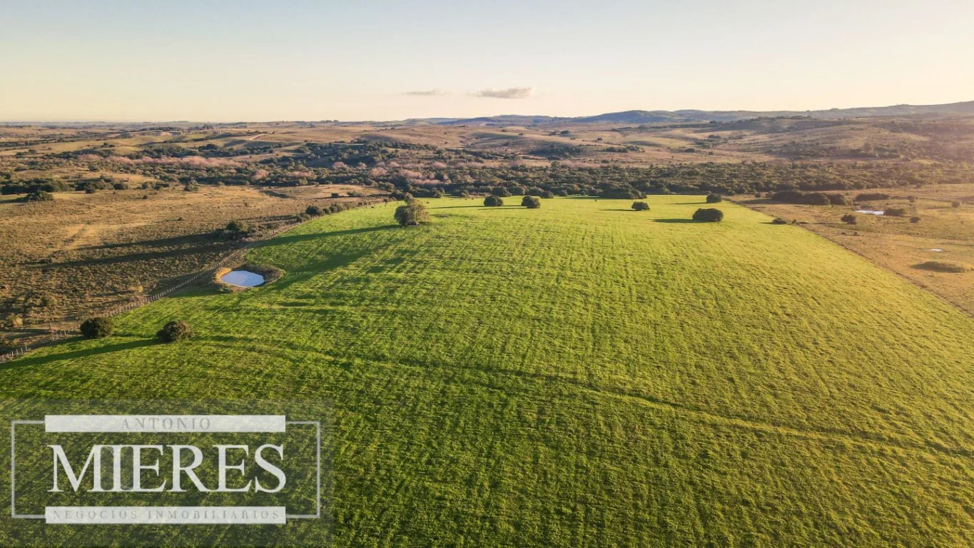 Campo en José Ignacio, propiedad 290234 -Imagen 3