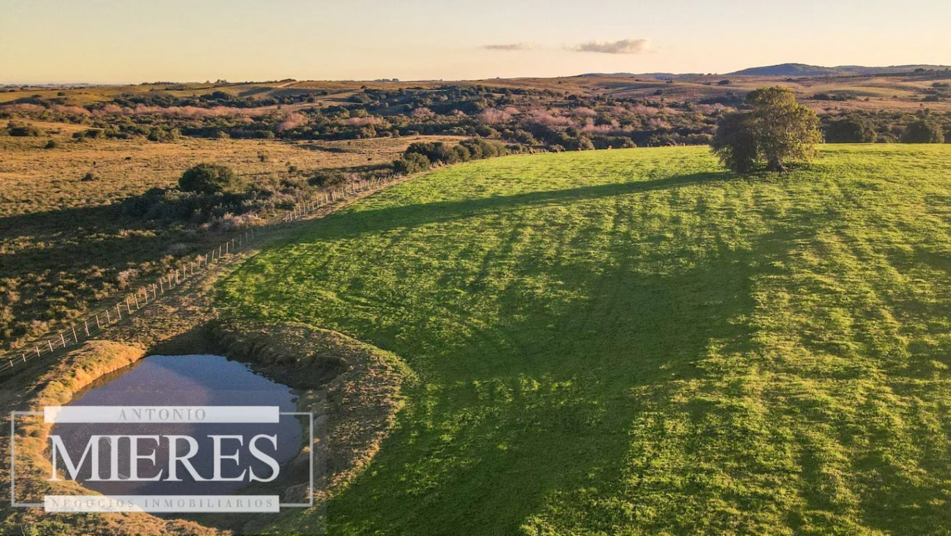 Campo en José Ignacio, propiedad 290234 -Imagen 5