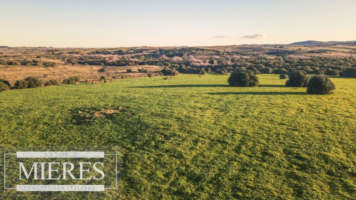 Campo en José Ignacio, propiedad 290234 -Imagen 7