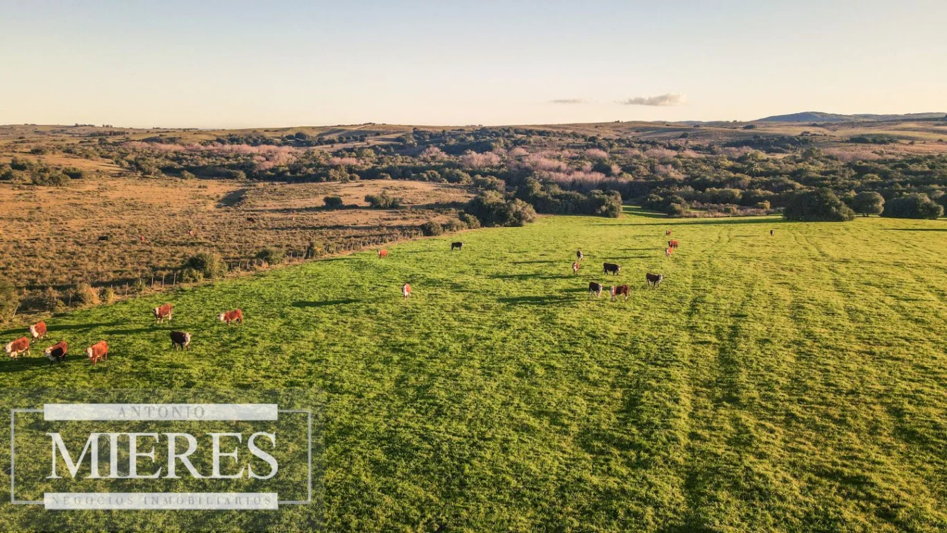 Campo en José Ignacio, propiedad 290234 -Imagen 8