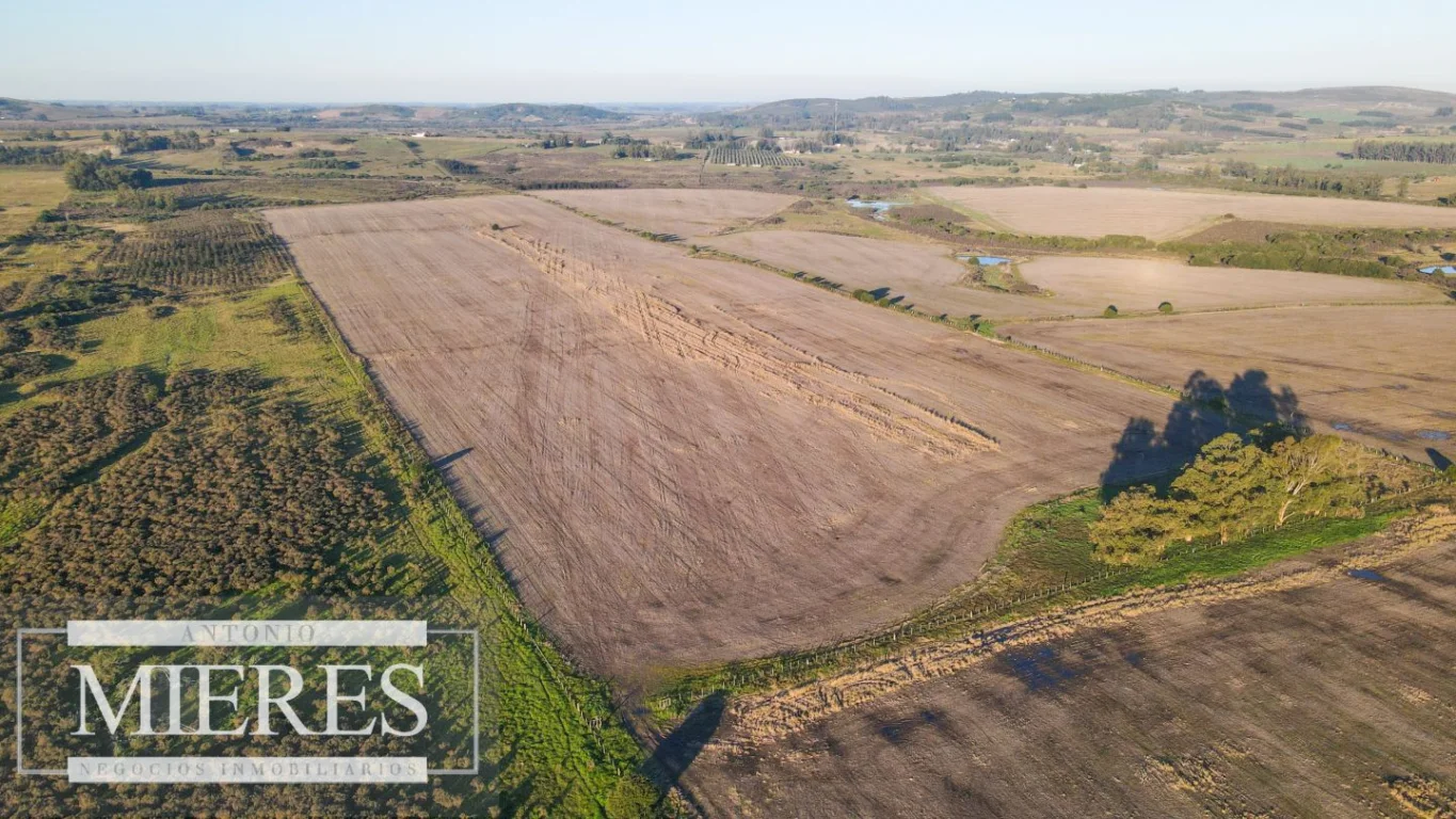 Campo en Punta del Este, propiedad 290235 -Imagen 9