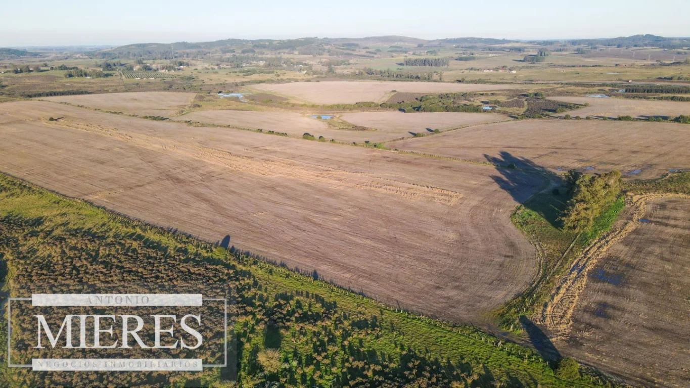 Campo en Punta del Este, propiedad 290235 -Imagen 10