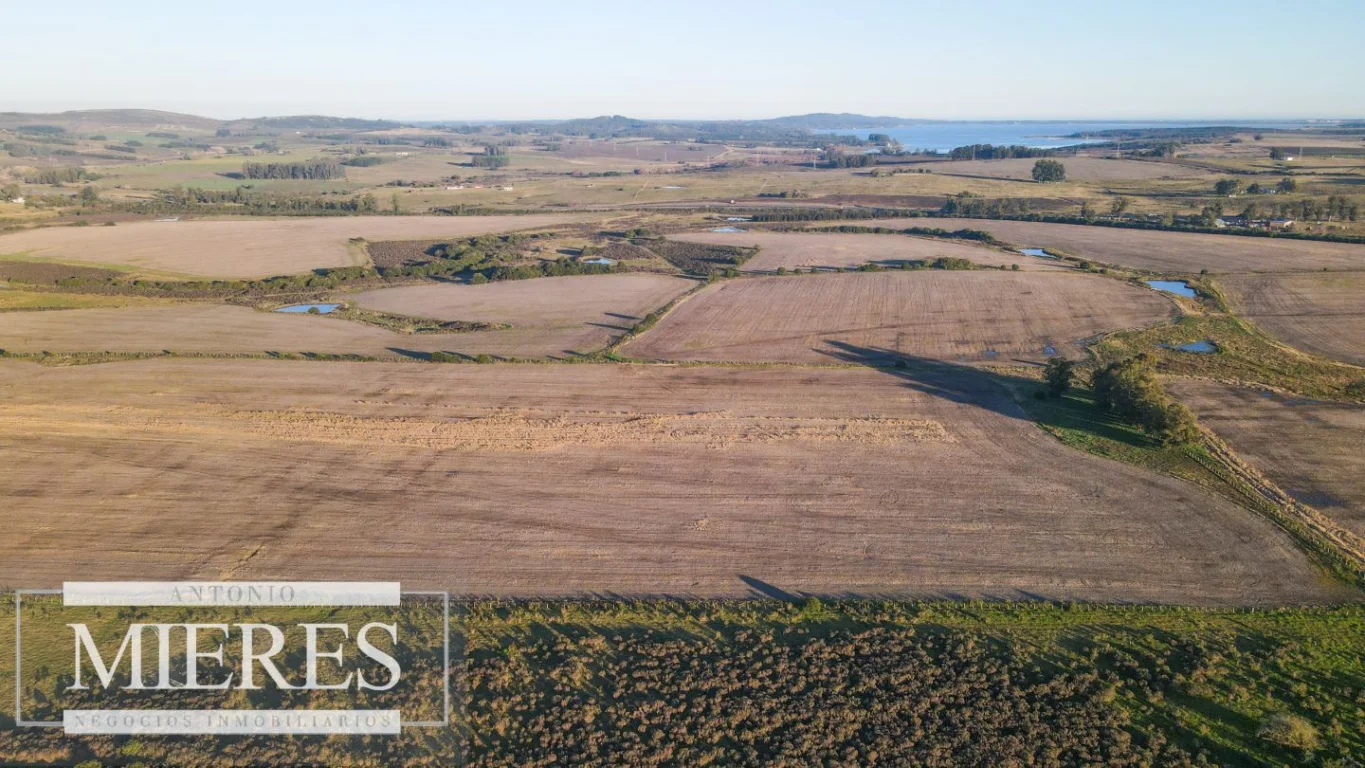 Campo en Punta del Este, propiedad 290235 -Imagen 11