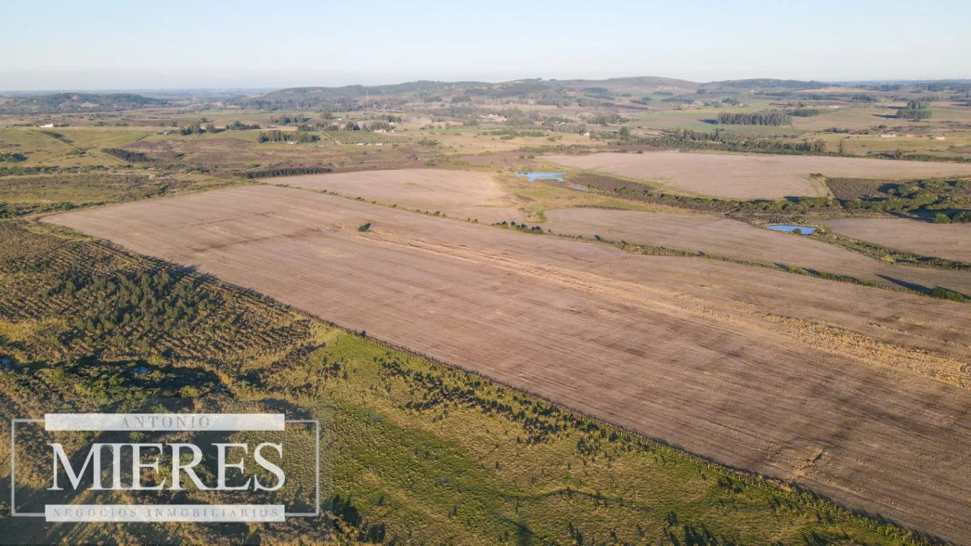 Campo en Punta del Este, propiedad 290235 -Imagen 12