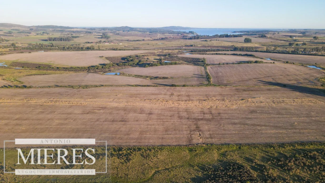 Campo en Punta del Este, propiedad 290235 -Imagen 13