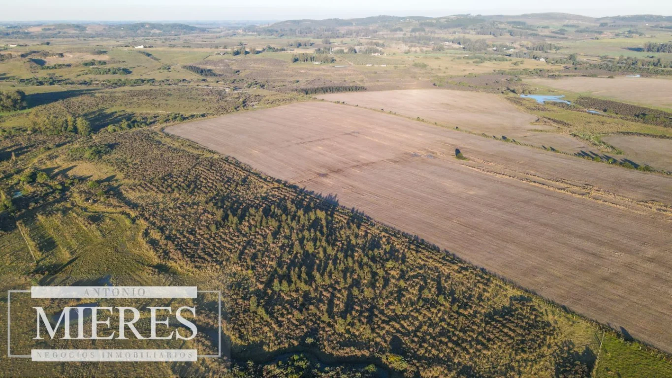 Campo en Punta del Este, propiedad 290235 -Imagen 14