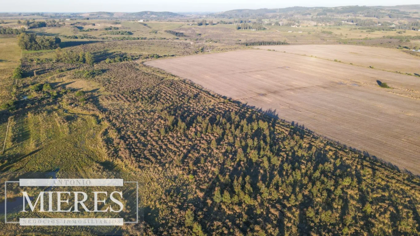 Campo en Punta del Este, propiedad 290235 -Imagen 15