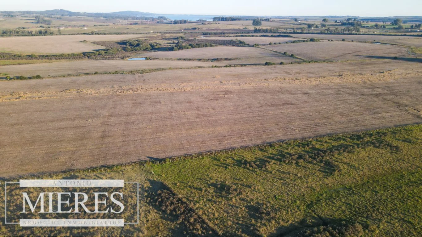 Campo en Punta del Este, propiedad 290235 -Imagen 16