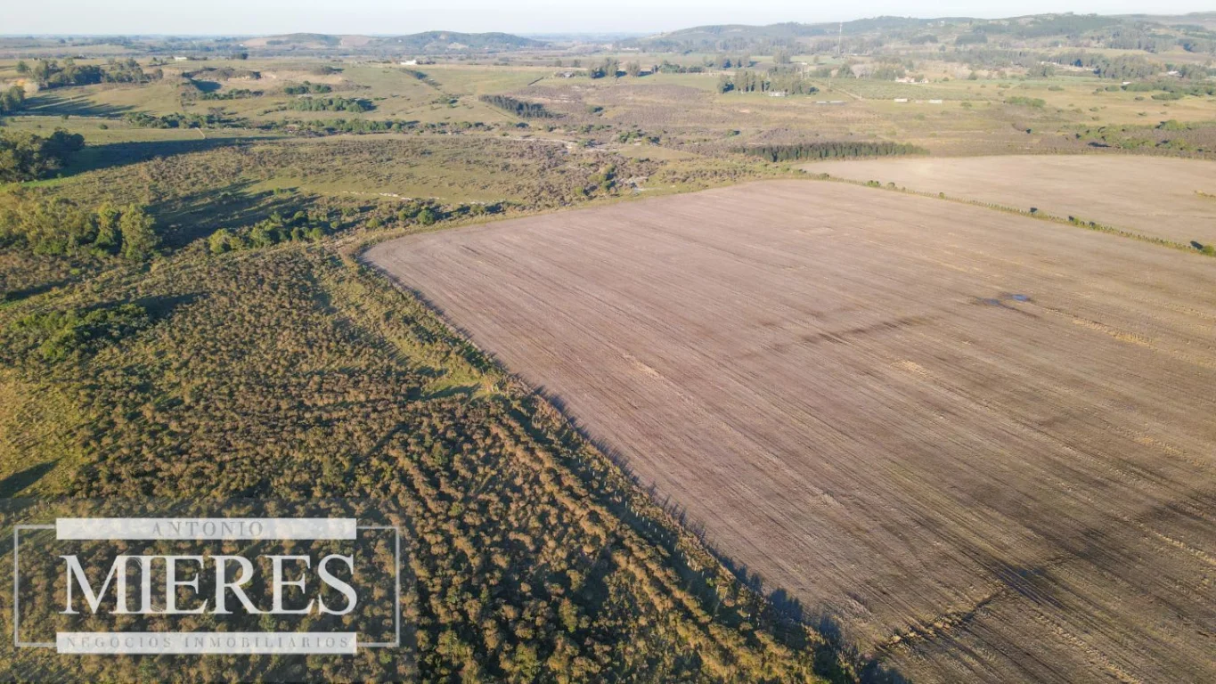 Campo en Punta del Este, propiedad 290235 -Imagen 17