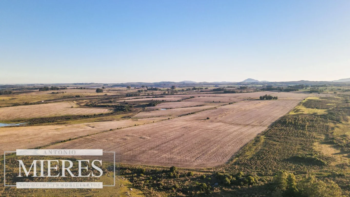 Campo en Punta del Este, propiedad 290235 -Imagen 1