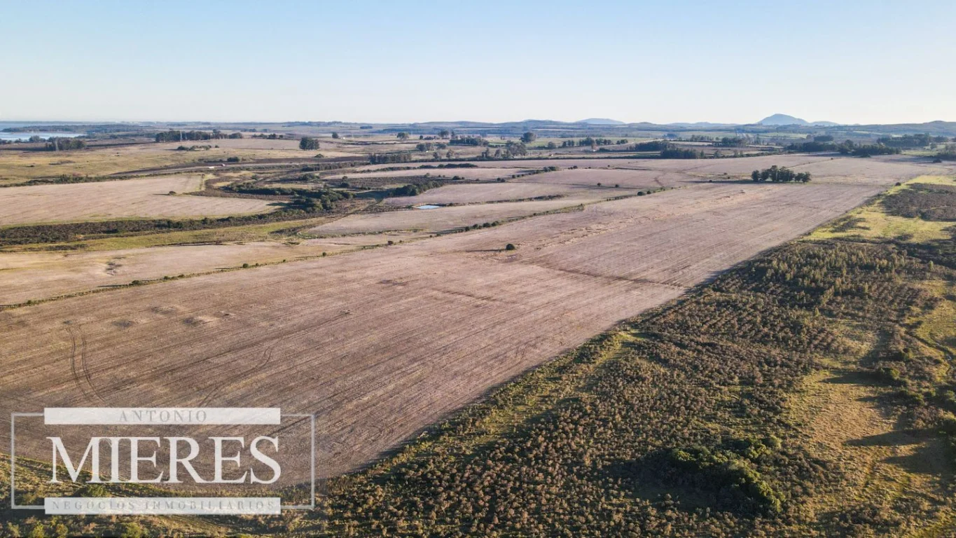 Campo en Punta del Este, propiedad 290235 -Imagen 2