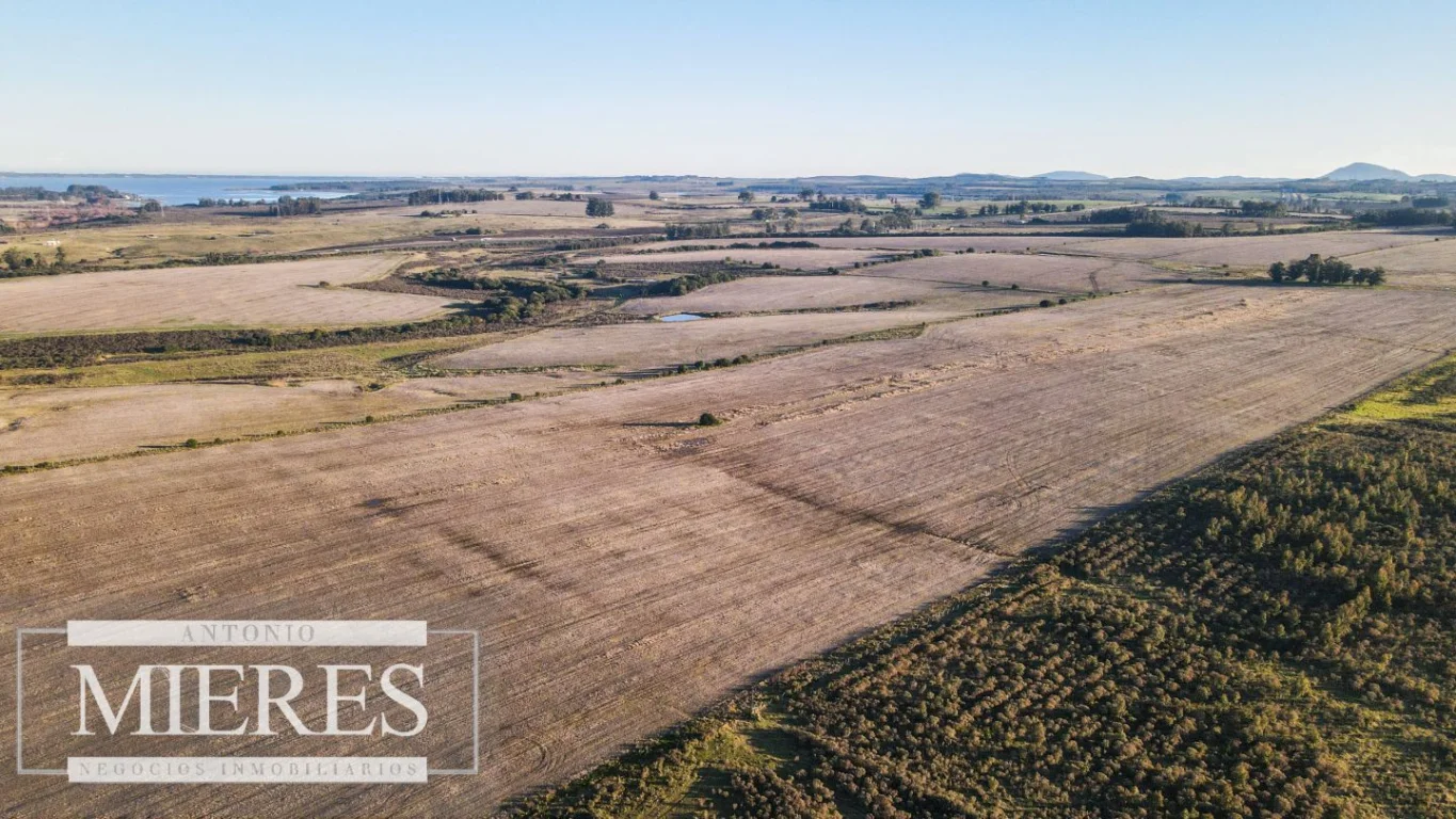 Campo en Punta del Este, propiedad 290235 -Imagen 3