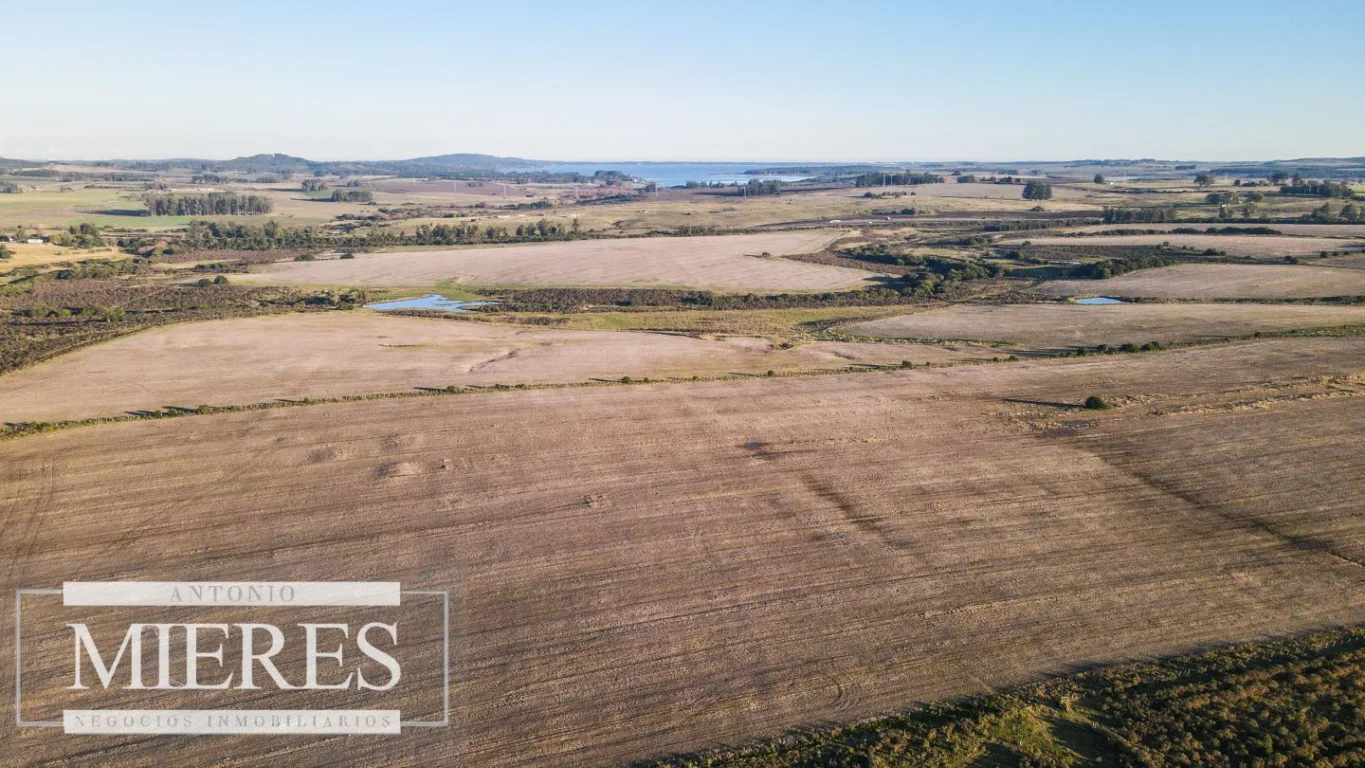 Campo en Punta del Este, propiedad 290235 -Imagen 4