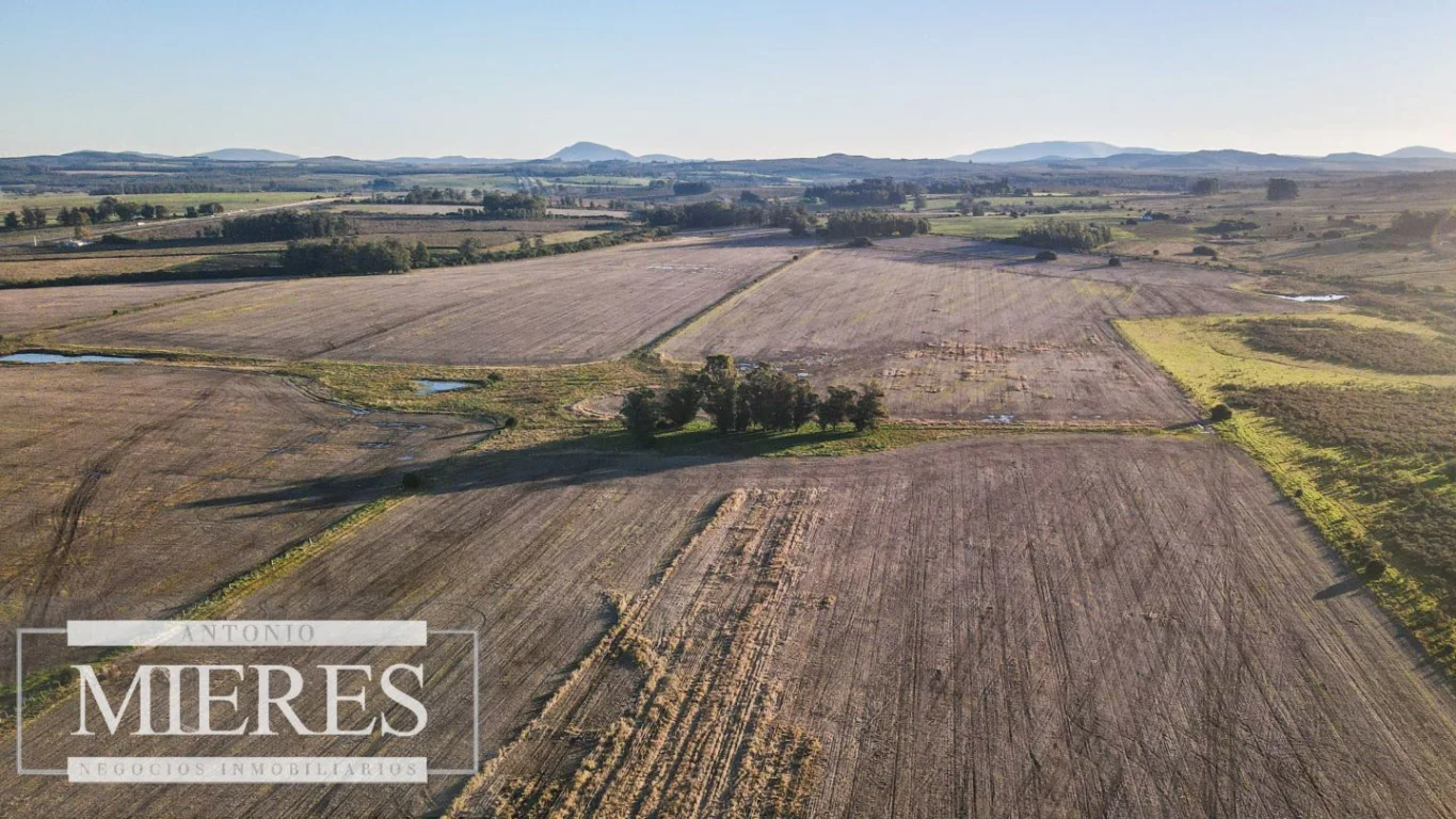 Campo en Punta del Este, propiedad 290235 -Imagen 6