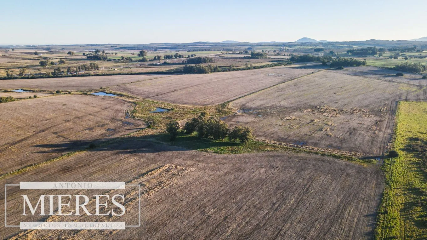 Campo en Punta del Este, propiedad 290235 -Imagen 7