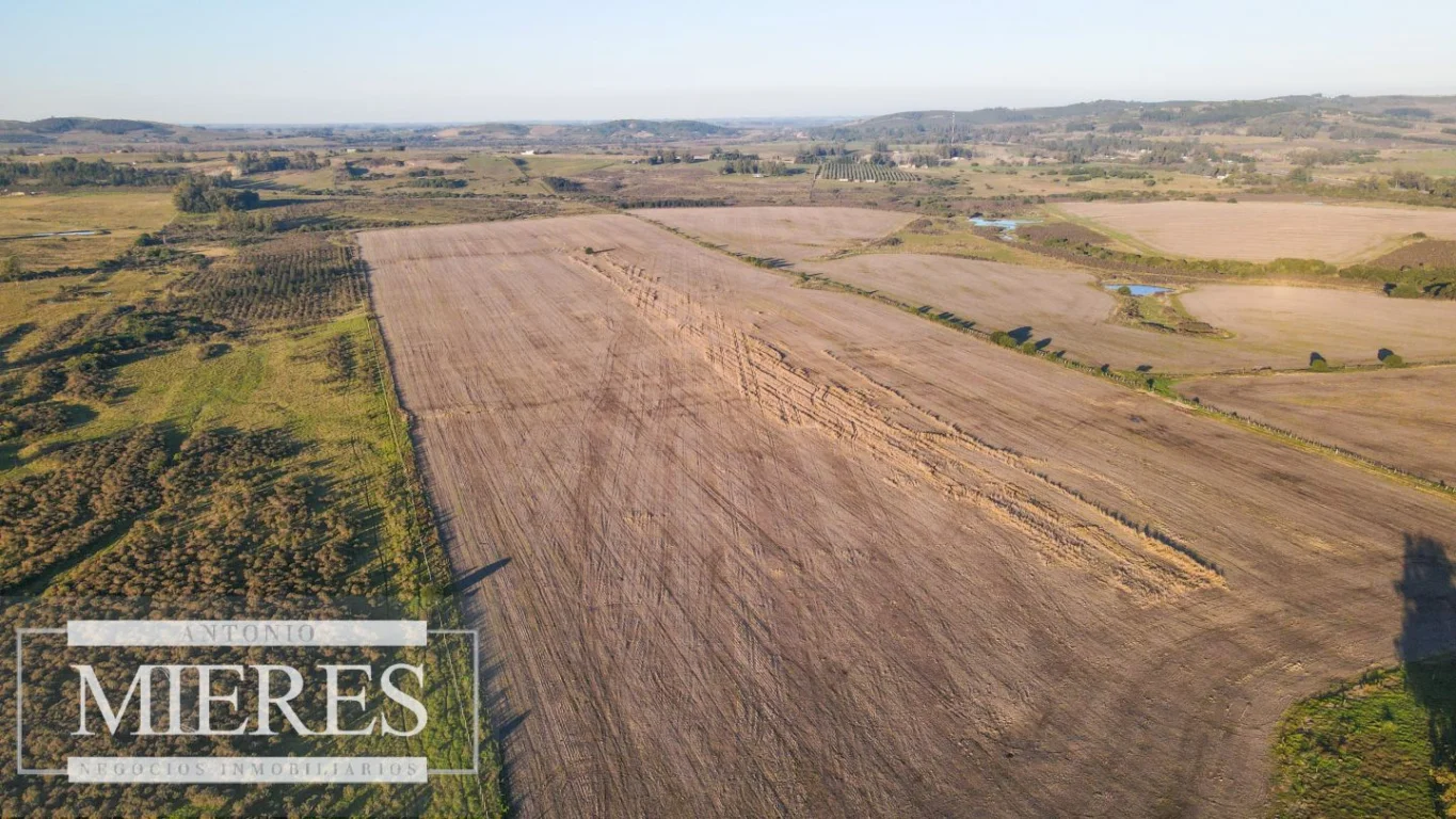 Campo en Punta del Este, propiedad 290235 -Imagen 8