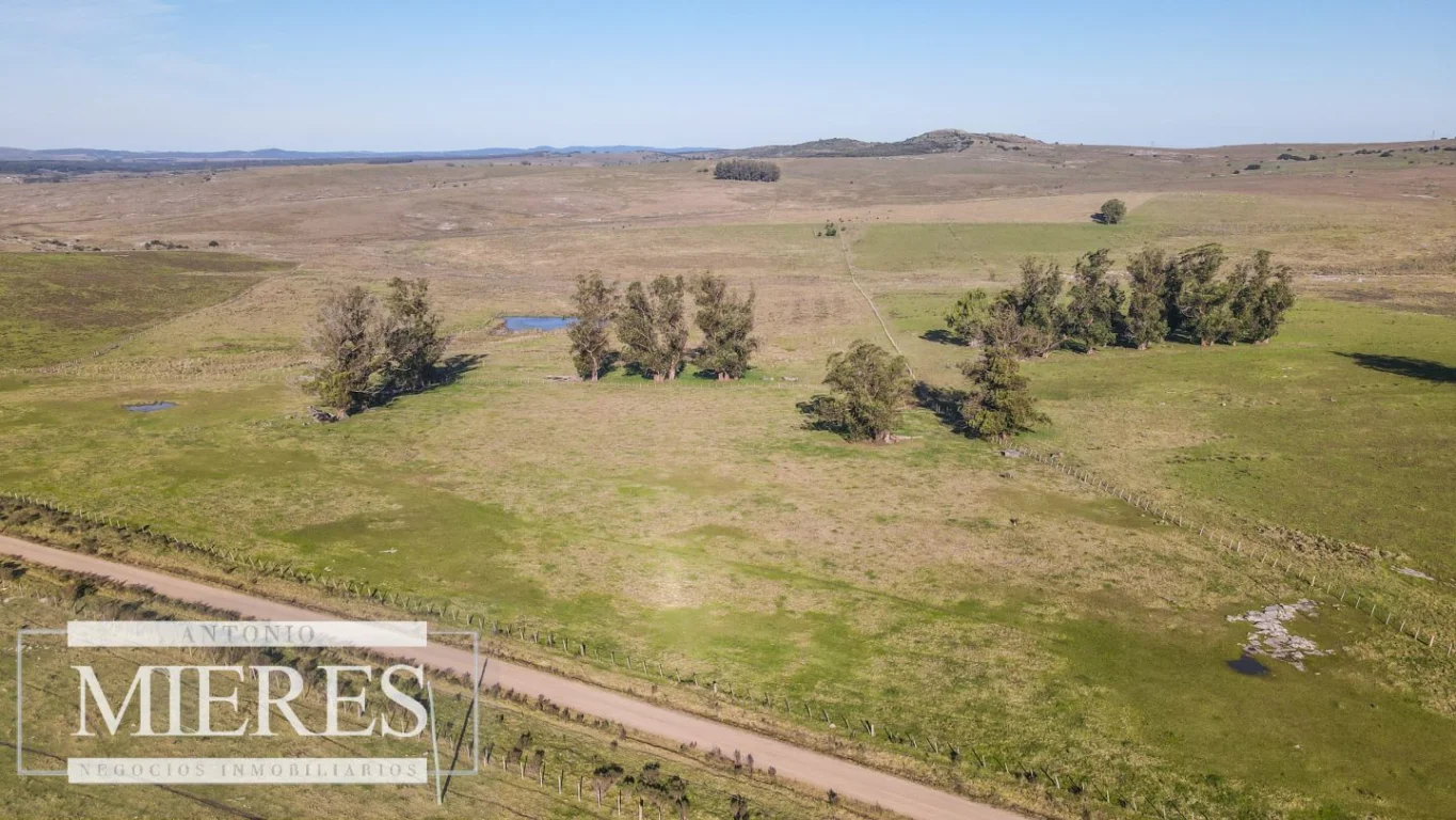 Campo en Pan de azucar, propiedad 290237 -Imagen 10