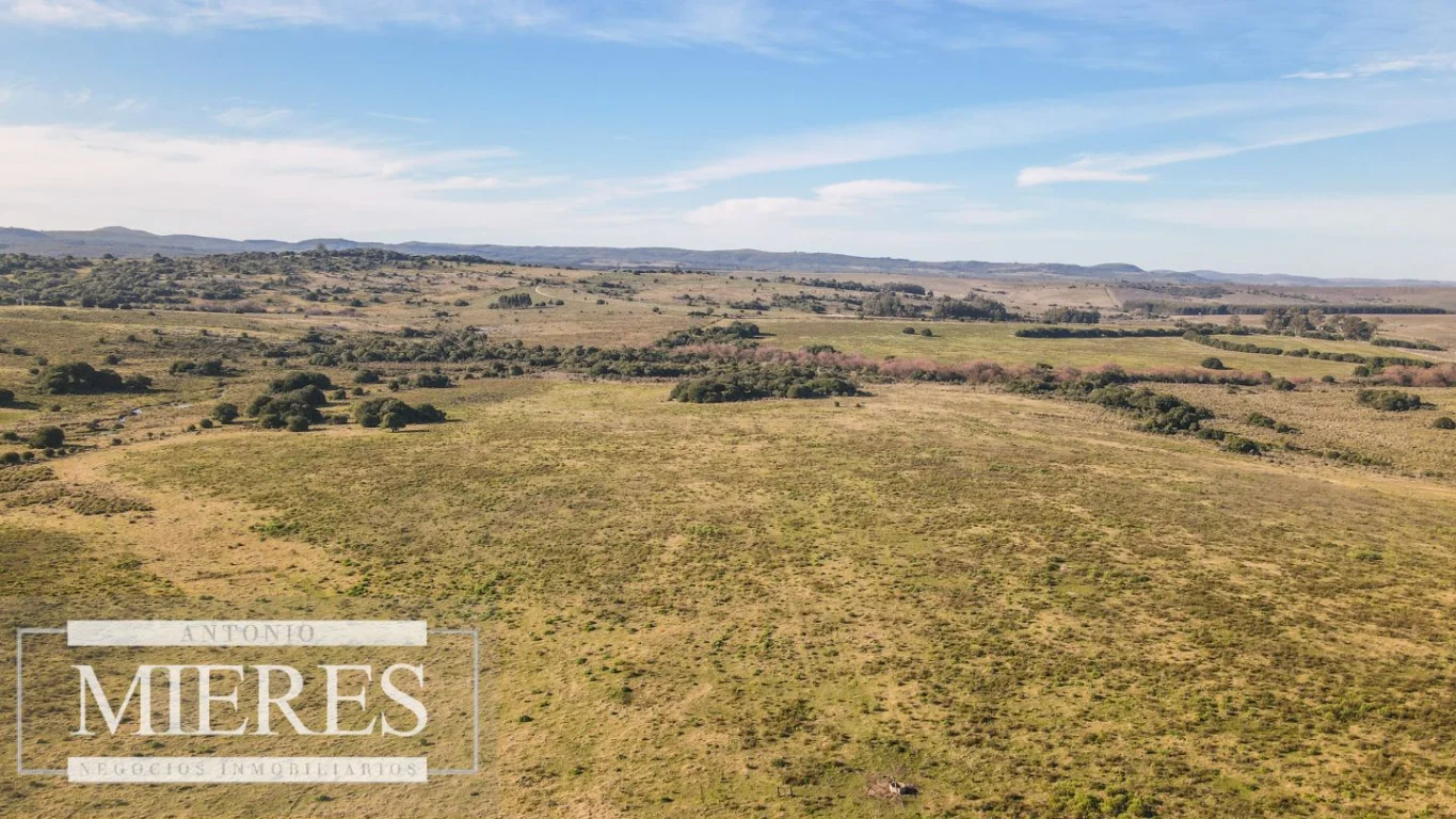 Campo en Pan de azucar, propiedad 290237 -Imagen 15