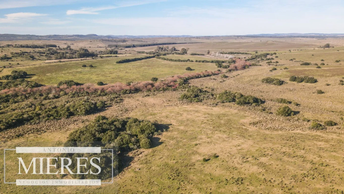 Campo en Pan de azucar, propiedad 290237 -Imagen 18