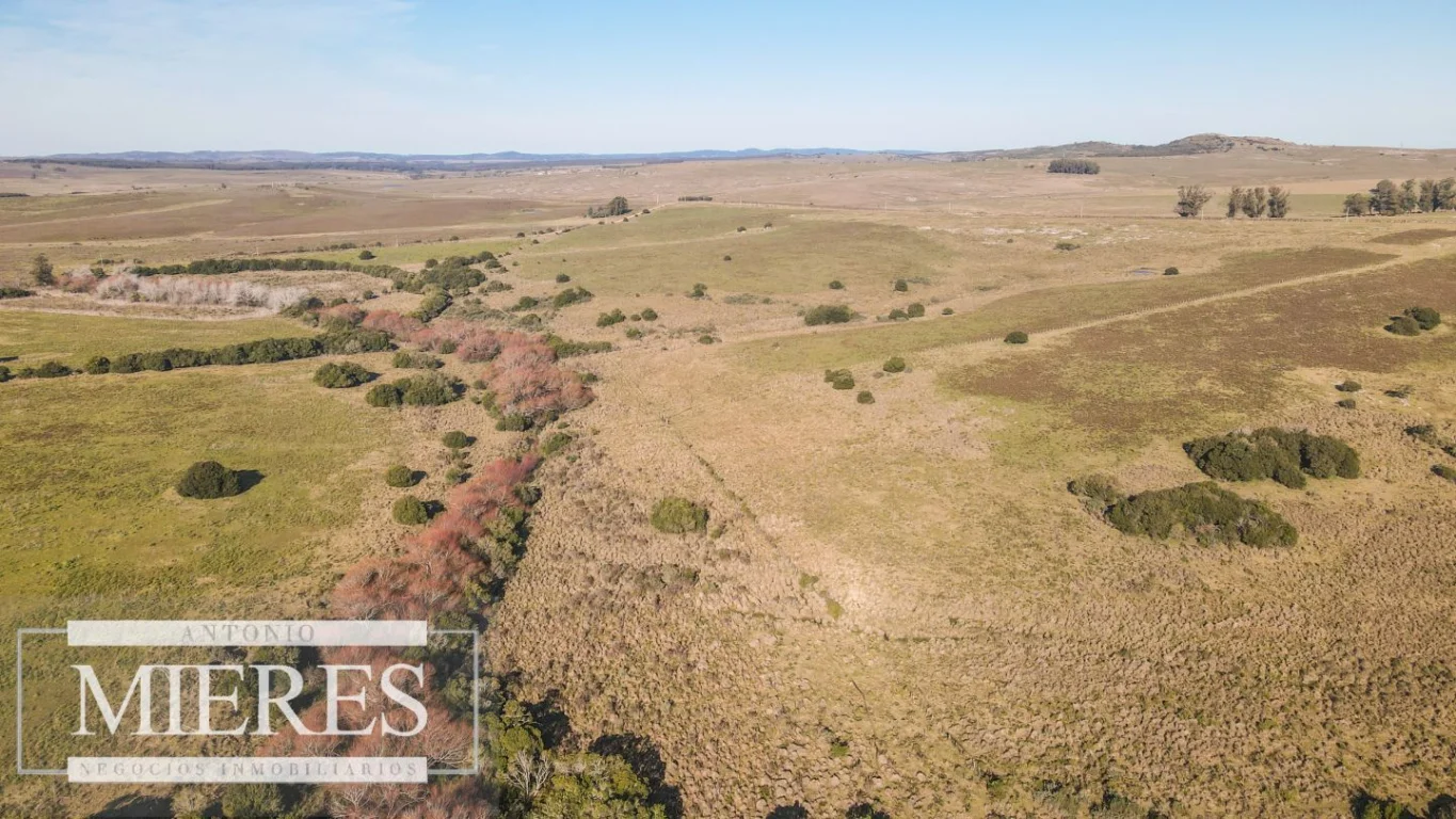Campo en Pan de azucar, propiedad 290237 -Imagen 1