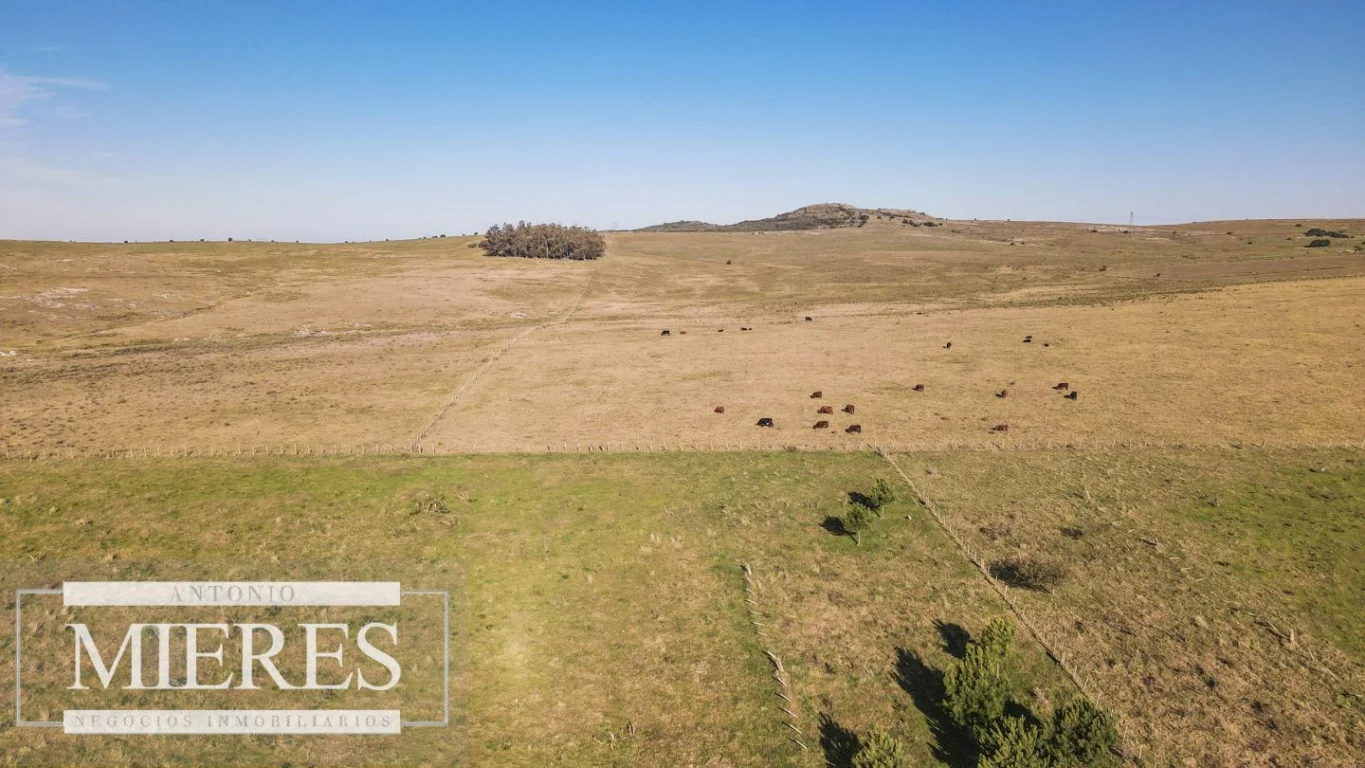 Campo en Pan de azucar, propiedad 290237 -Imagen 21