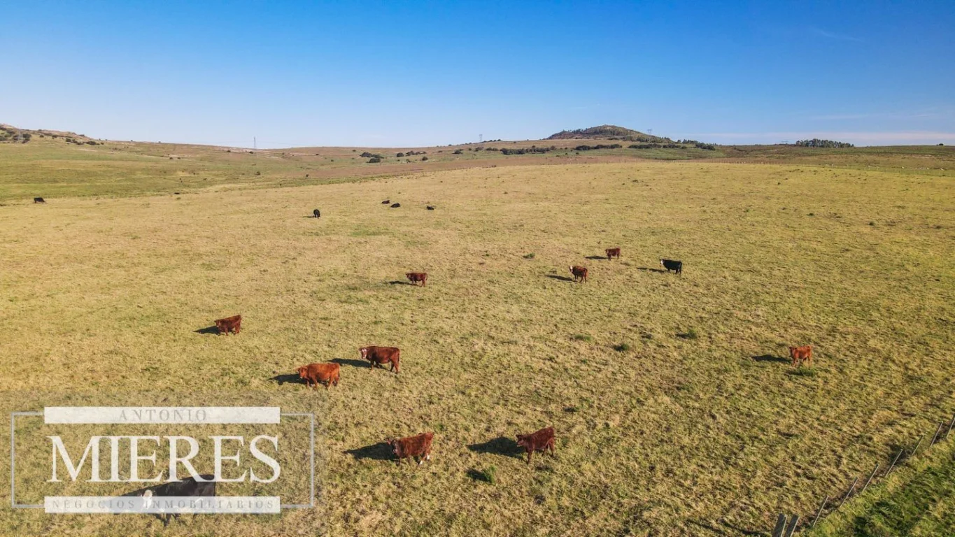 Campo en Pan de azucar, propiedad 290237 -Imagen 22