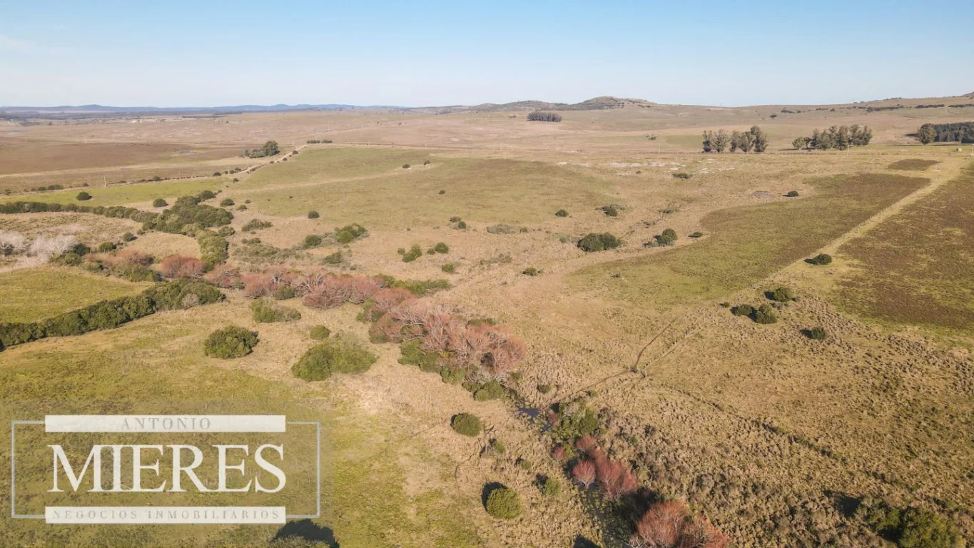 Campo en Pan de azucar, propiedad 290237 -Imagen 4